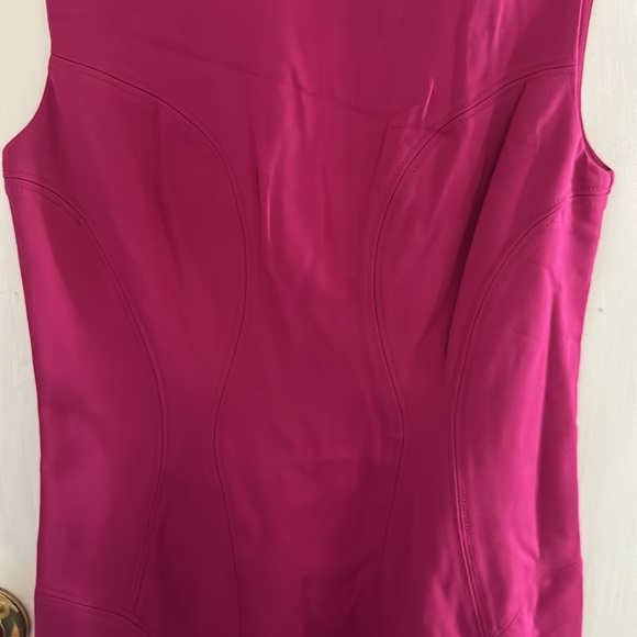 NWT DianeVonFurstenberg Raspberry Ruffled Dress - Picture 3 of 8